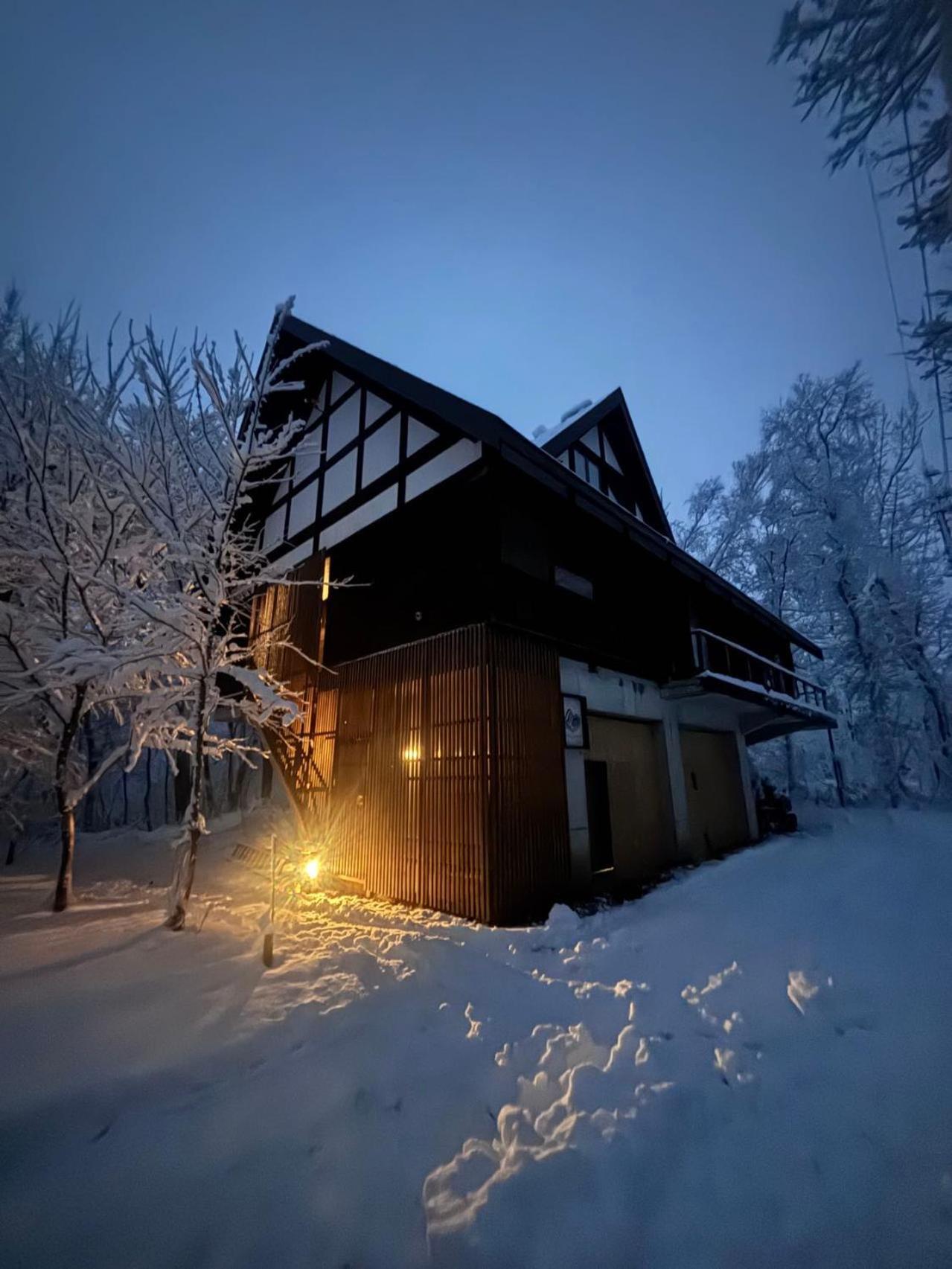 Villa Woody Island Hakuba Esterno foto